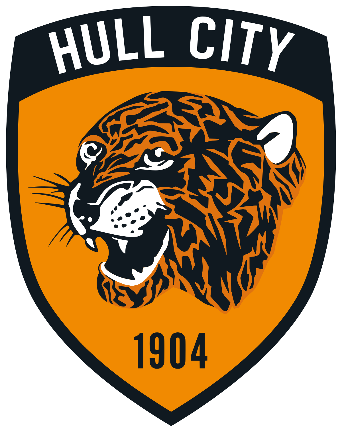 헐 시티 AFC
