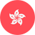 홍콩